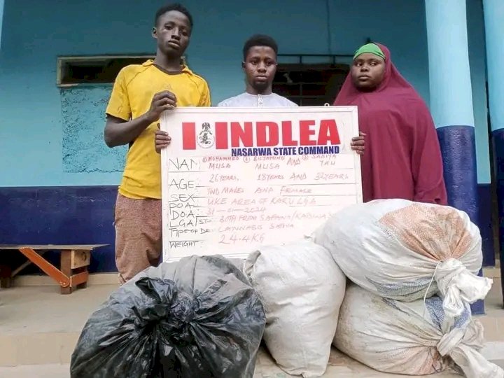 NDLEA intercepts 14.5 tons of Ghanaian Loud linked to wanted drug baron in Lagos.