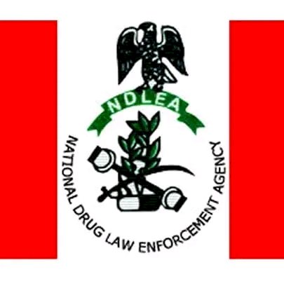 NDLEA’s sniffer dogs fished out multibillion Naira worth of cocaine concealed in heavy duty automobile pivot shafts and Ghanaian fabric.