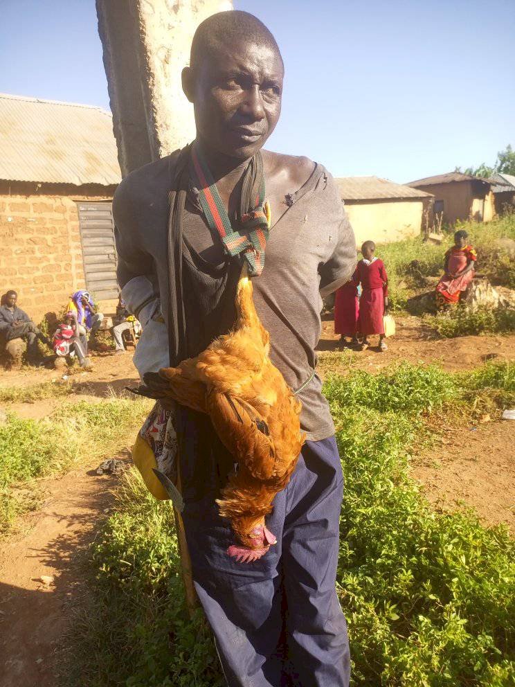 Suspected thief tied to electric pole with stolen chicken around his neck in Plateau