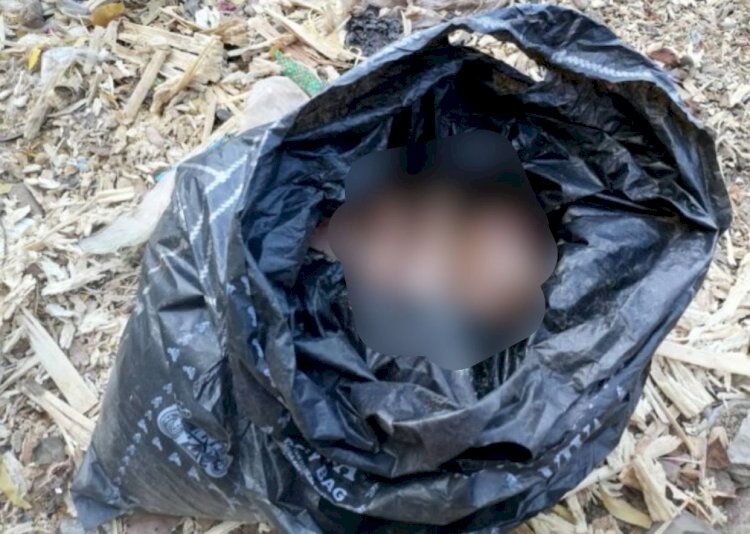 Day-old baby found dead in refuse dump