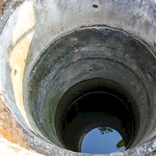 Driver of minister's wife dies after falling into abandoned well