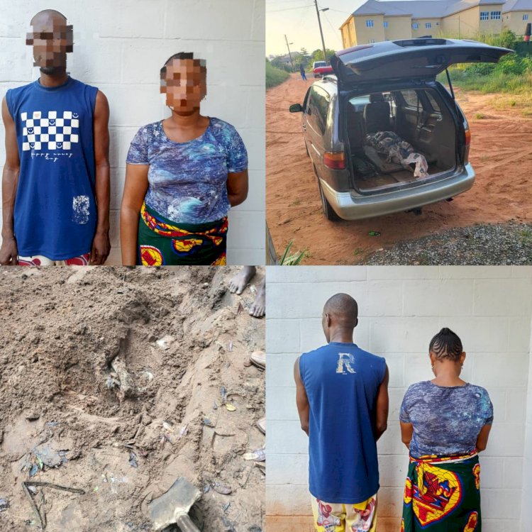 Girlfriend arrested for failing to report her boyfriend who k!dnapped and k!lled his mum's 70-year-old friend