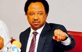 Recovery of 753 duplexes: Nigeria mismanaged while ASUU remains on strike – Shehu Sani