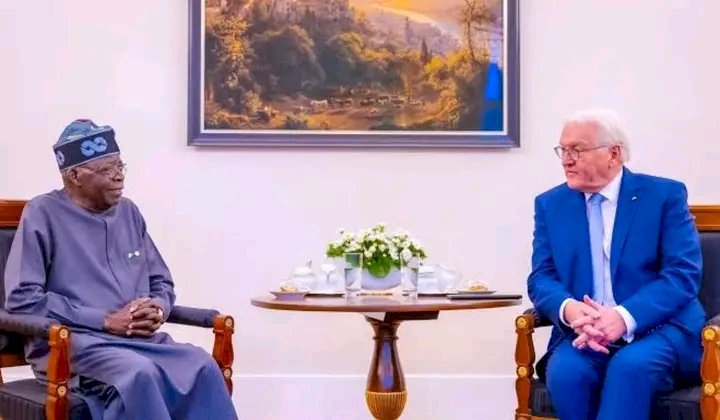 German President Steinmeier received by Tinubu in Aso Rock villa