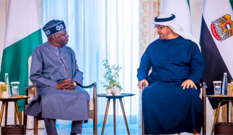 UAE president to visit Tinubu in Nigeria this year: Presidency